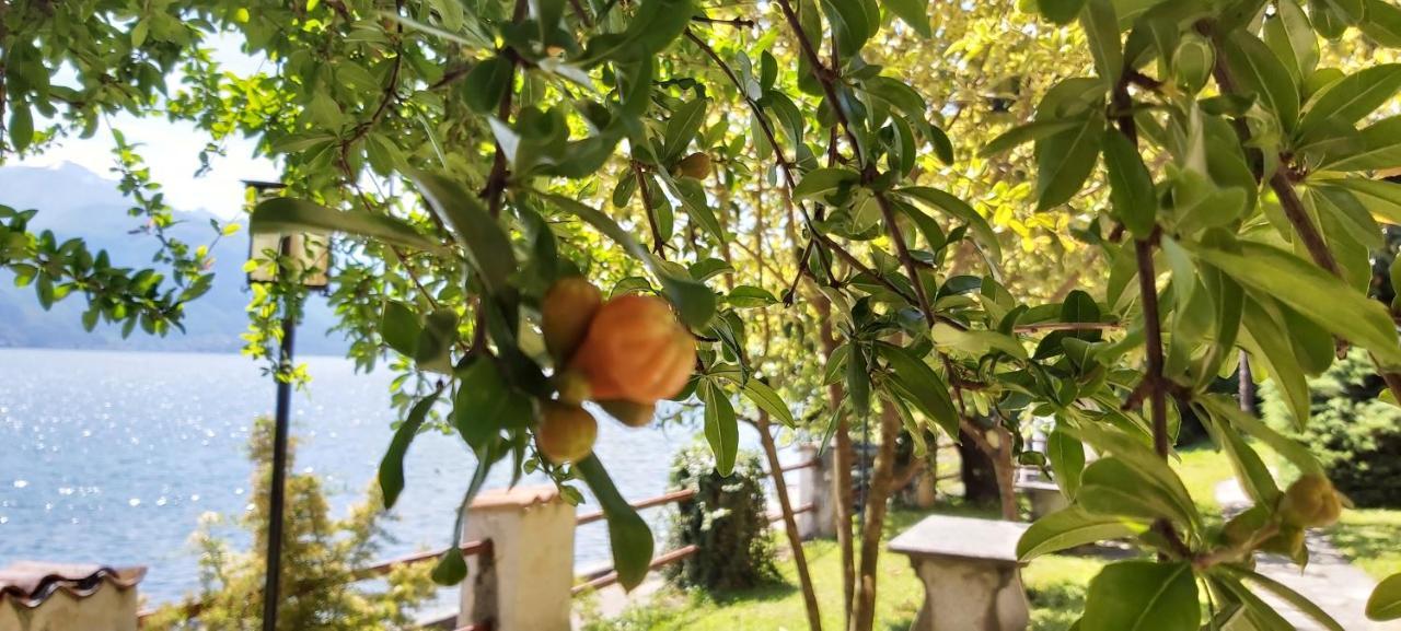 Miralago Casa Menaggio Dış mekan fotoğraf